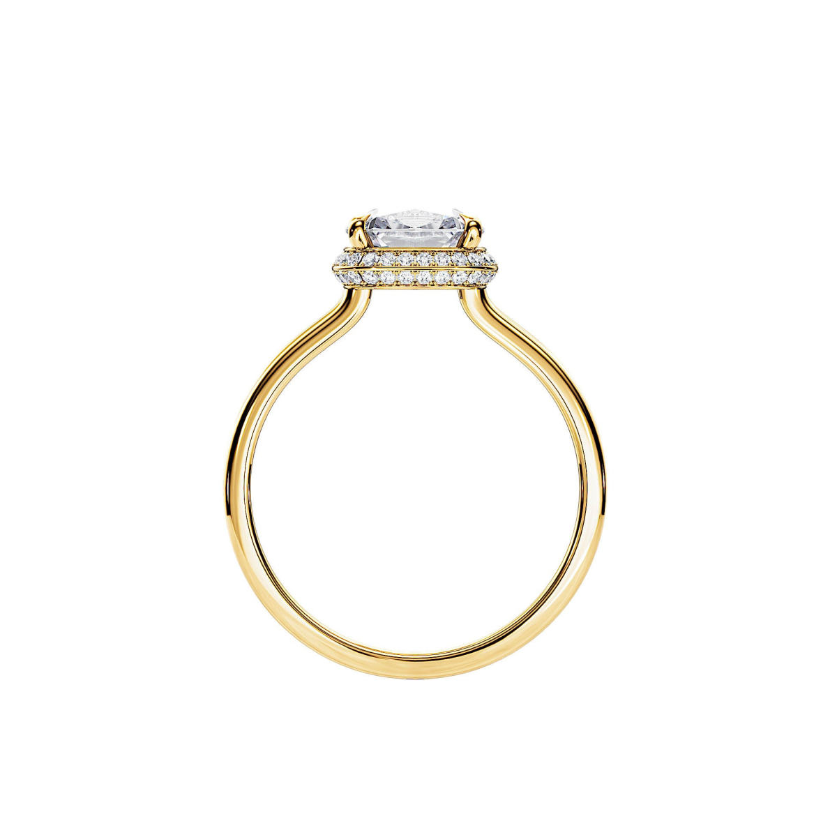 Cushion Cut and Double Halo Lab Diamond Engagement Ring side view